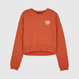 Poleron Lifestyle Mujer Byrd Terracota Fox