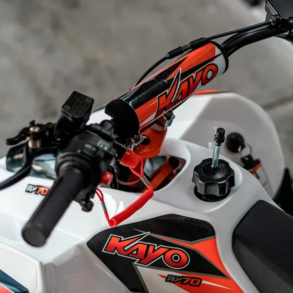 Cuatrimoto Kayo AY 70 CC - Imagen 3