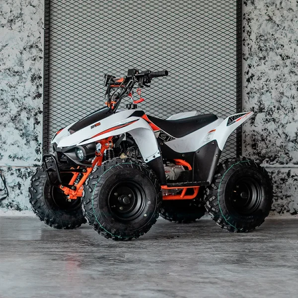 Cuatrimoto Kayo AY 70 CC - Imagen 2